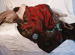 The Red Blanket